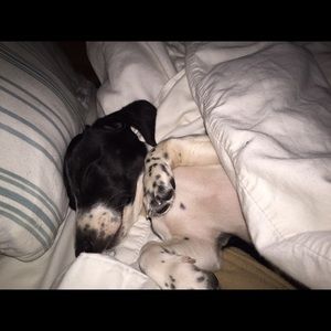 Meet your Posher, Leigh