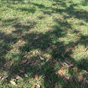 Meet your Posher, Alison