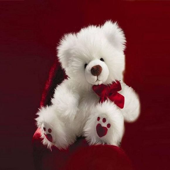 Meet your Posher, Christine - Picture 1 of 1