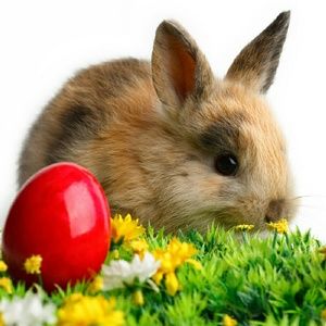 Meet your Posher, Rodriguez