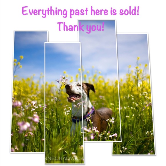 Everything past here is in new closets!