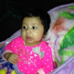 Meet your Posher, Rosa