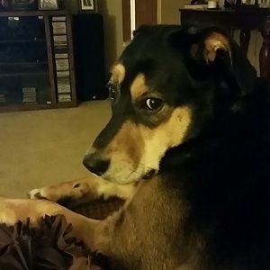 Meet your Posher, Karen