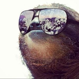 Meet your Posher, Corey