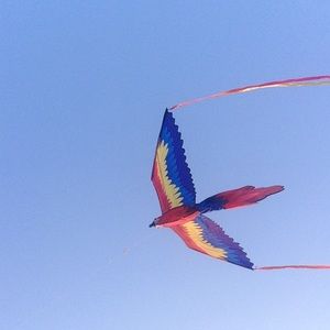 Meet your Posher, Yvette