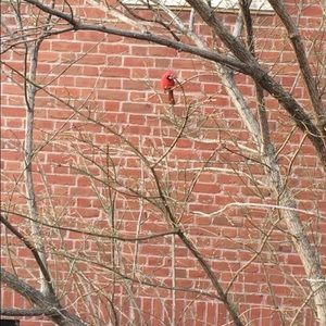 Meet your Posher, Gaila