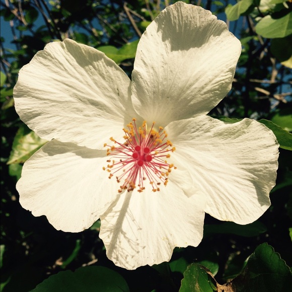 Meet your Posher, Jacqueline - Picture 1 of 1