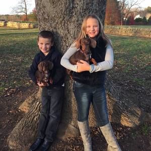 Meet your Posher, Barb