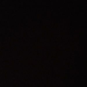 Meet your Posher, Shayne