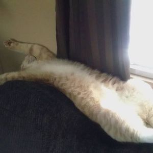 Meet your Posher, Belinda