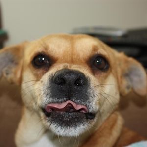 Meet your Posher, Deb