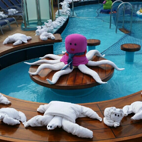 Meet your Posher, Cynthia - Picture 1 of 2