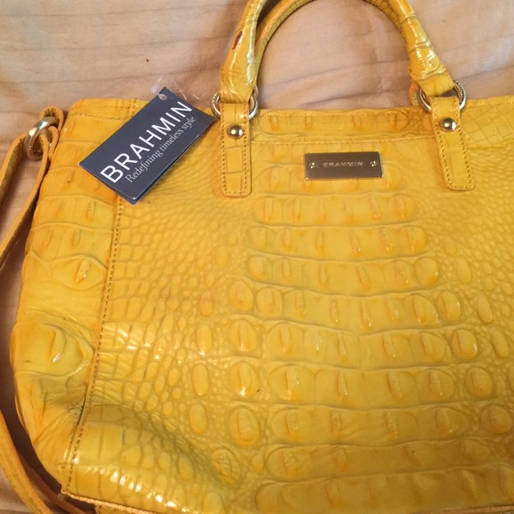 Brahmin new bag