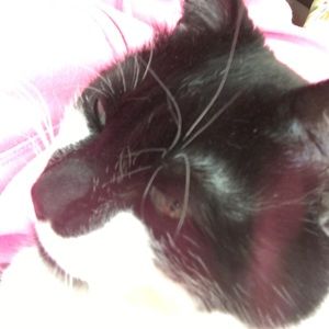 Meet your Posher, Bethany