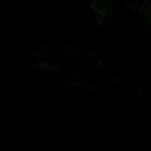 Meet your Posher, Terry