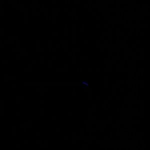 Meet your Posher, Francisca