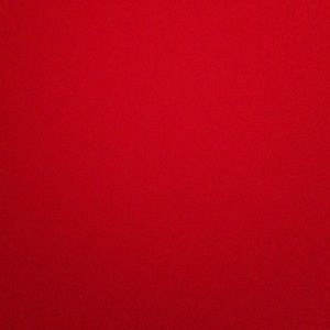 Meet your Posher, Lily