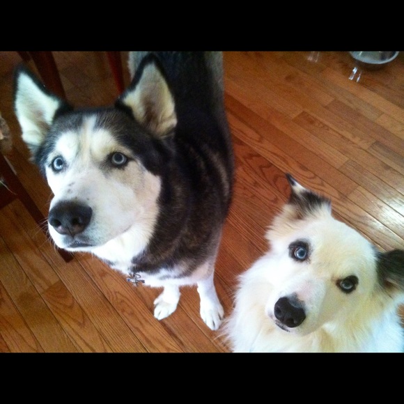 Meet your Posher, Barbara - Picture 2 of 4