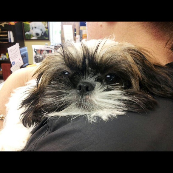 Meet your Posher, Kathy - Picture 1 of 1