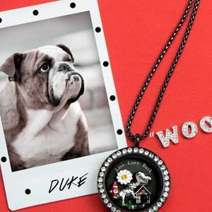 Meet your Posher, Victoria