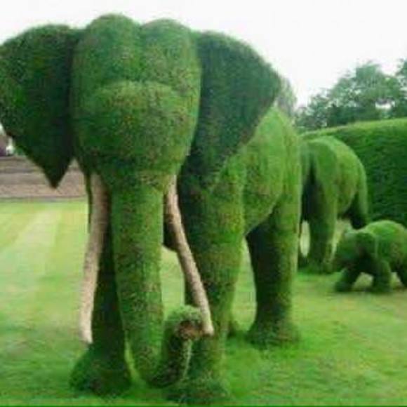 Meet your Posher, Eda