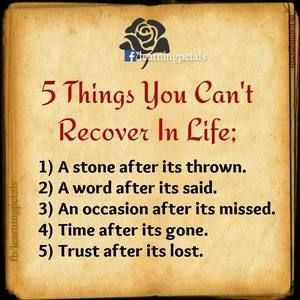 Meet your Posher, Claudina