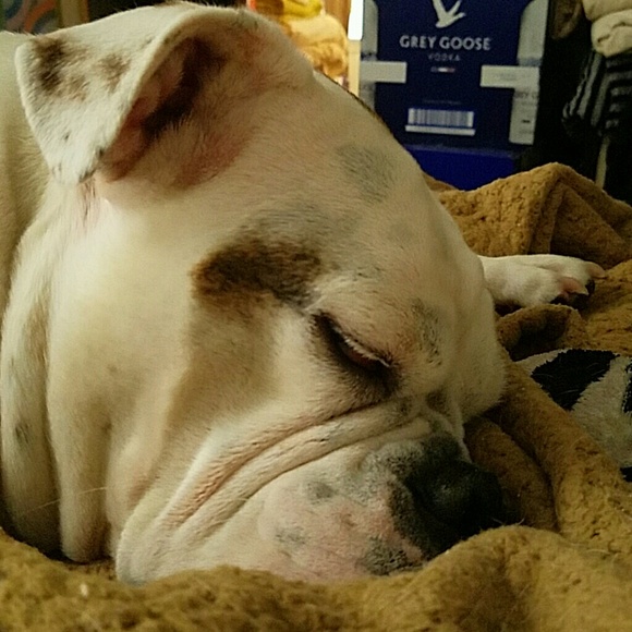 Meet your Posher, Bil