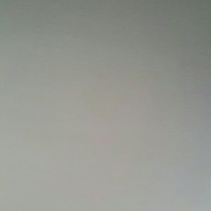 Meet your Posher, Anabel