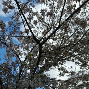 Meet your Posher, Anwuli