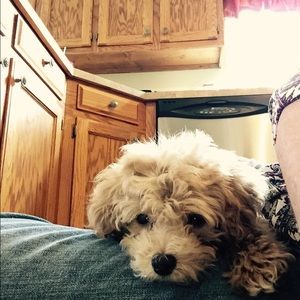 Meet your Posher, Becky