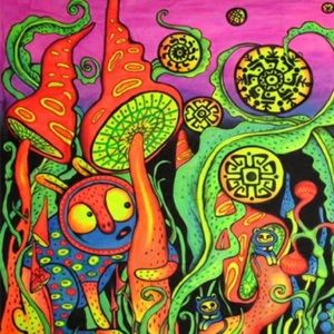 Meet your Posher, Annette