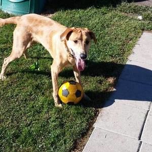 Meet your Posher, Diane