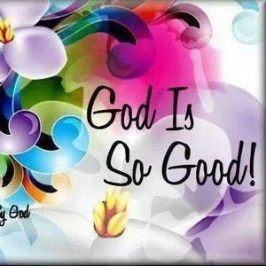 Meet your Posher, Carole