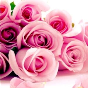 Meet your Posher, Jacquelyn