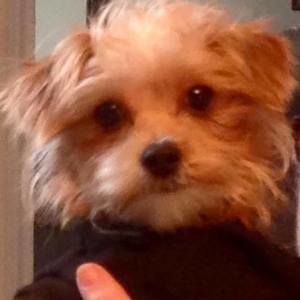 Meet your Posher, Tonya