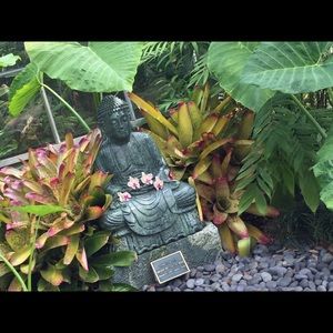 Meet your Posher, Lily