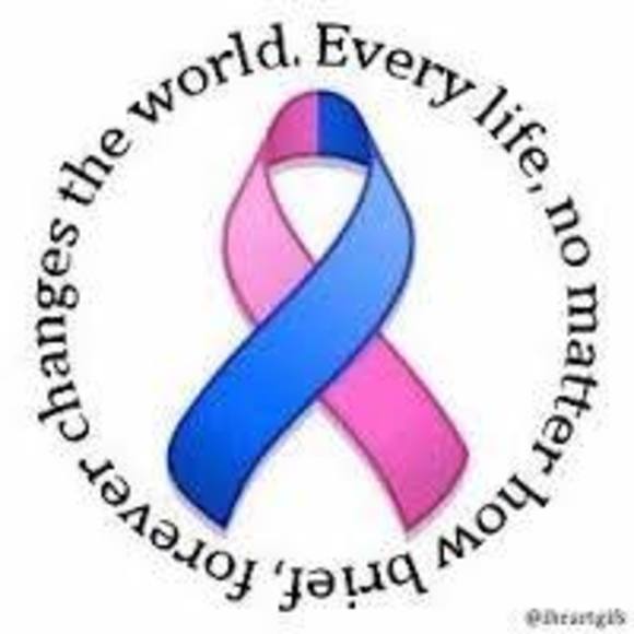 Meet your Posher, Rachel - Picture 1 of 1