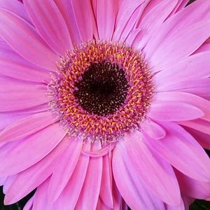 Meet your Posher, Cathy