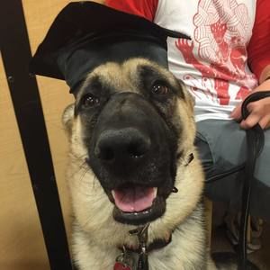 Meet your Posher, Courtney