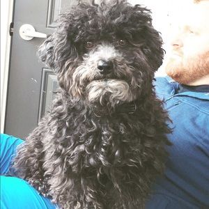 Meet your Posher, Emma