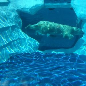 Meet your Posher, Cathy