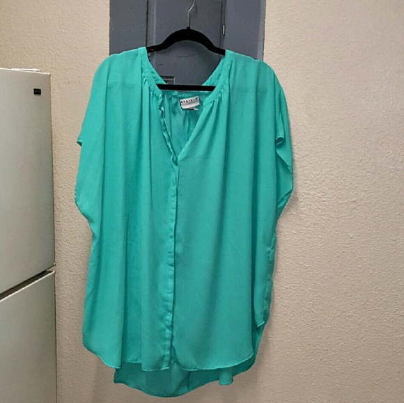 Teal Ava and Viv tunic top