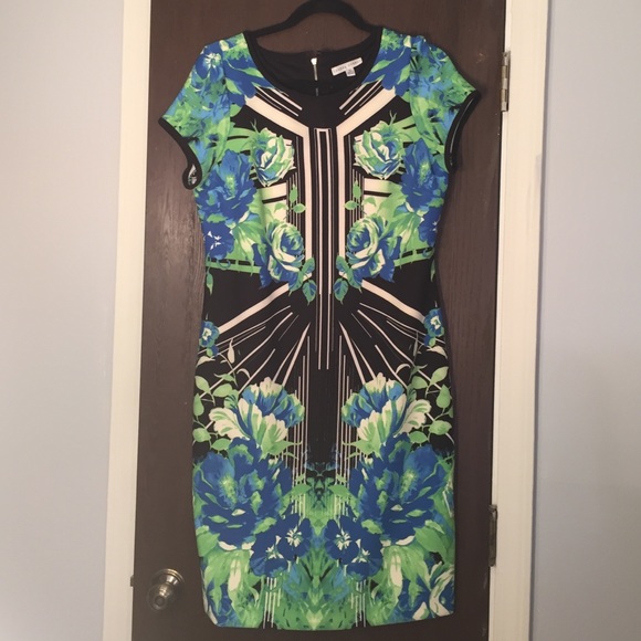 Sandra Darren Floral Shift Dress