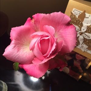 Meet your Posher, Jill