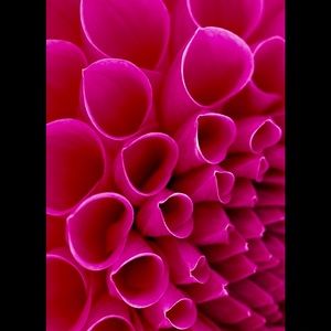 Meet your Posher, Keela