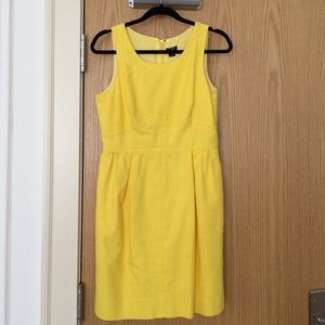 J Crew Textured Cotton Dress | Size 6