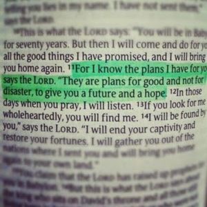 Meet your Posher, Tps