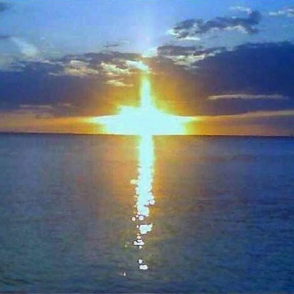 Meet your Posher, Tanya