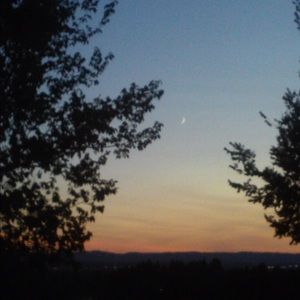 Meet your Posher, Paige