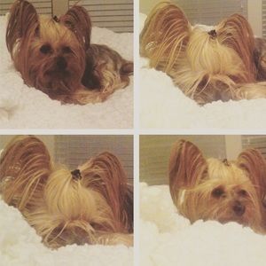 Meet your Posher, Brittany